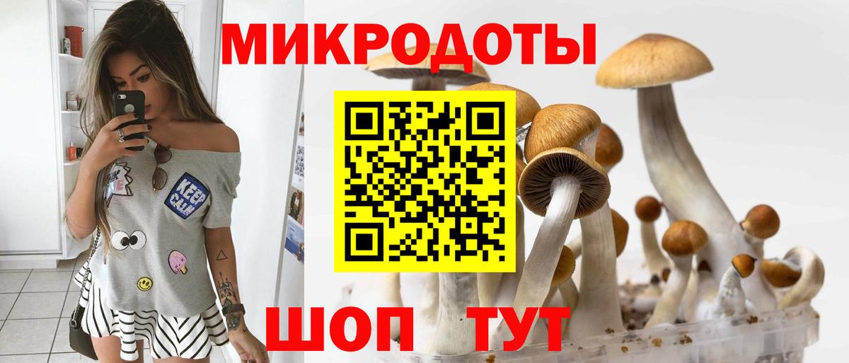Галлюциногенные грибы ЛСД  Галлюциногенные грибы Cubensis  Вход с VPN  Бердск 